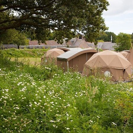 Hotel Durrell Wildlife Camp Trinity Camera foto